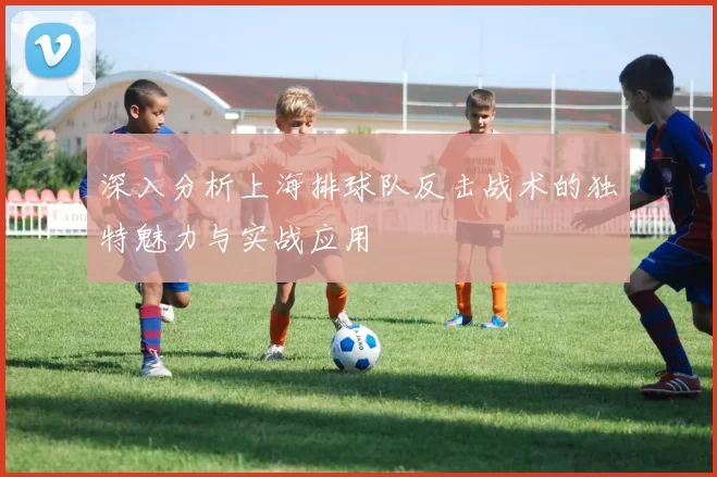 深入分析上海排球队反击战术的独特魅力与实战应用
