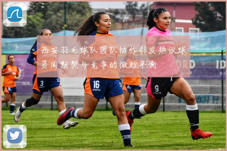 西安羽毛球队团队协作引发热议球员间默契与竞争的微妙平衡