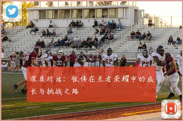 深度对话：张伟在王者荣耀中的成长与挑战之路