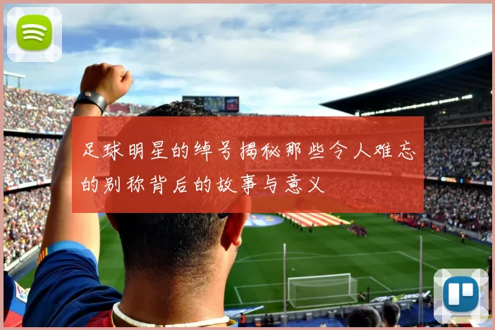 足球明星的绰号揭秘那些令人难忘的别称背后的故事与意义