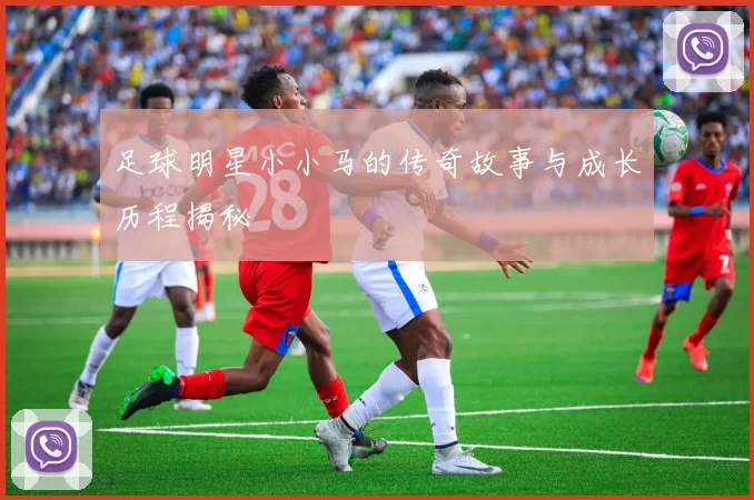 足球明星小小马的传奇故事与成长历程揭秘