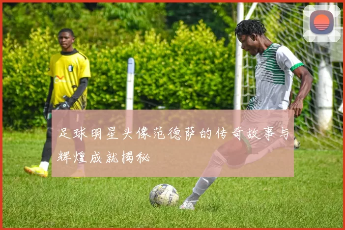 足球明星头像范德萨的传奇故事与辉煌成就揭秘