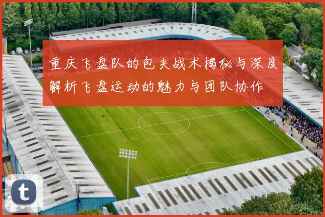 重庆飞盘队的包夹战术揭秘与深度解析飞盘运动的魅力与团队协作