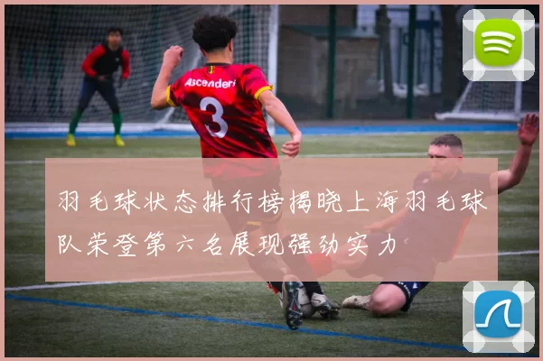 羽毛球状态排行榜揭晓上海羽毛球队荣登第六名展现强劲实力