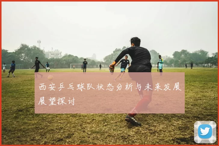 西安乒乓球队状态分析与未来发展展望探讨