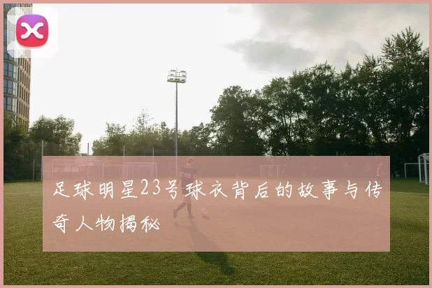 足球明星23号球衣背后的故事与传奇人物揭秘