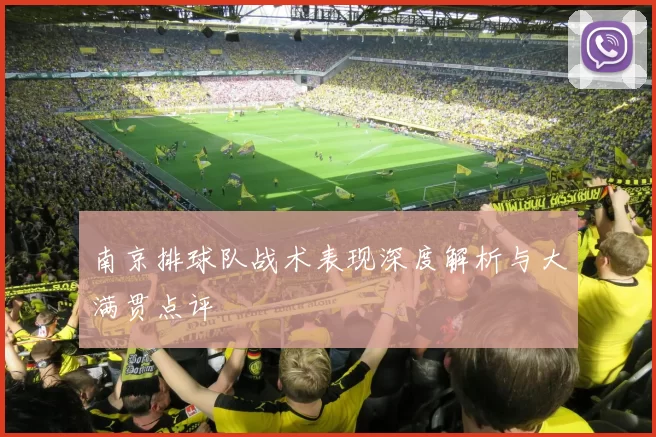 南京排球队战术表现深度解析与大满贯点评