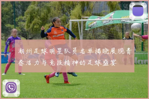 潮州足球明星队员名单揭晓展现青春活力与竞技精神的足球盛宴