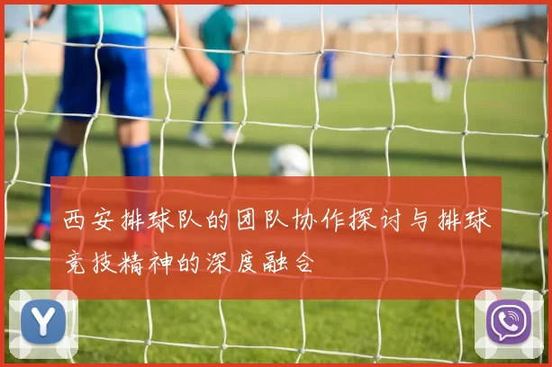 西安排球队的团队协作探讨与排球竞技精神的深度融合