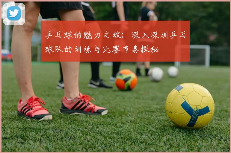 乒乓球的魅力之旅：深入深圳乒乓球队的训练与比赛节奏探秘