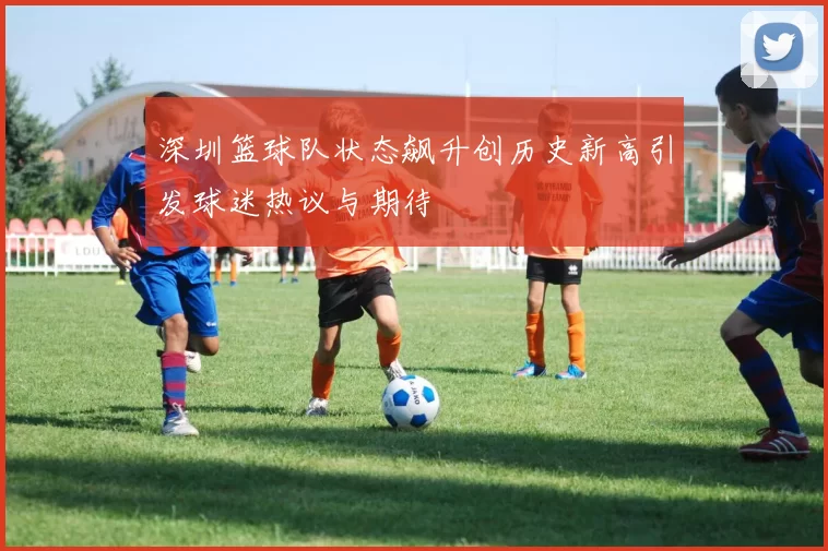 深圳篮球队状态飙升创历史新高引发球迷热议与期待