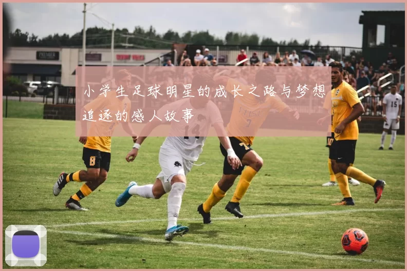 小学生足球明星的成长之路与梦想追逐的感人故事