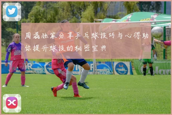周磊独家分享乒乓球技巧与心得助你提升球技的秘密宝典