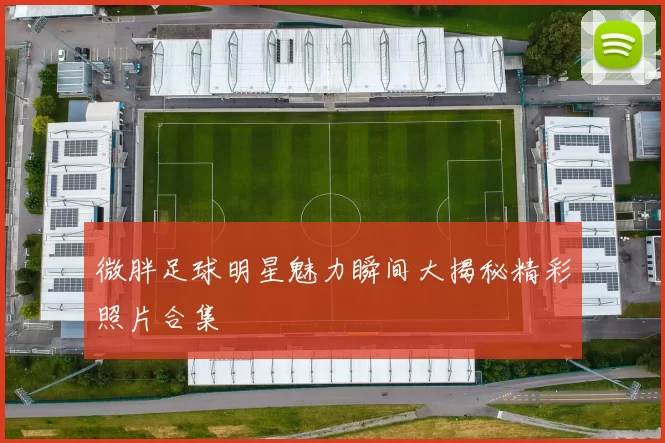 微胖足球明星魅力瞬间大揭秘精彩照片合集