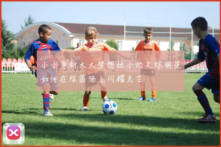 小小身材大大梦想姓小的足球明星如何在绿茵场上闪耀光芒