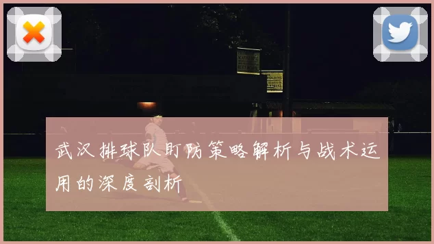 武汉排球队盯防策略解析与战术运用的深度剖析