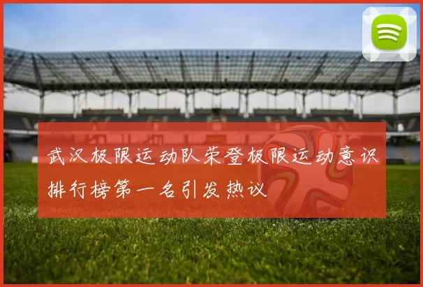 武汉极限运动队荣登极限运动意识排行榜第一名引发热议
