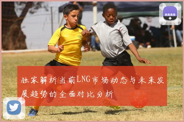 独家解析当前LNG市场动态与未来发展趋势的全面对比分析