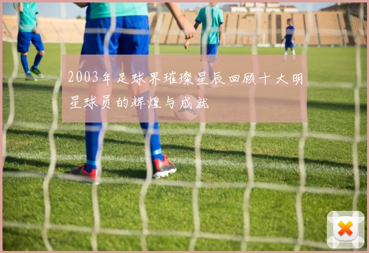 2003年足球界璀璨星辰回顾十大明星球员的辉煌与成就