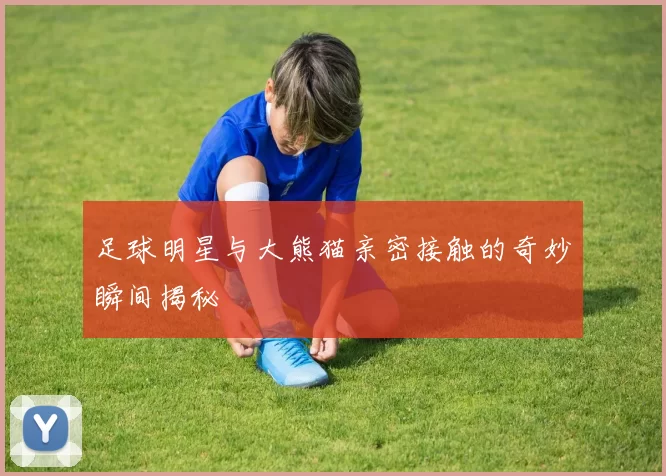 足球明星与大熊猫亲密接触的奇妙瞬间揭秘