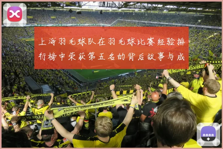 上海羽毛球队在羽毛球比赛经验排行榜中荣获第五名的背后故事与成就分析