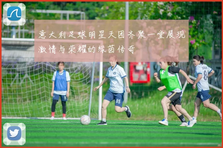 意大利足球明星天团齐聚一堂展现激情与荣耀的绿茵传奇