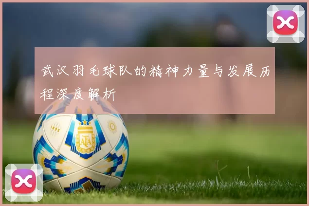 武汉羽毛球队的精神力量与发展历程深度解析