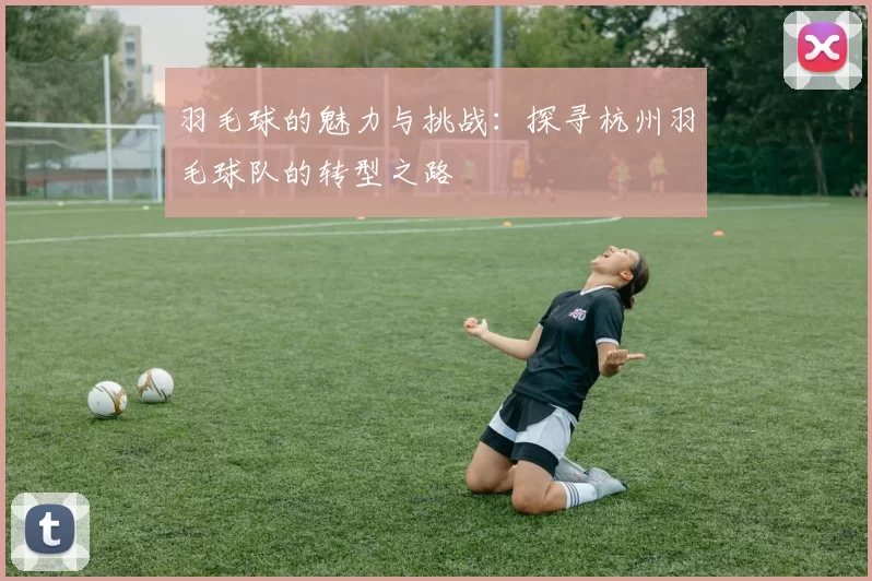 羽毛球的魅力与挑战：探寻杭州羽毛球队的转型之路