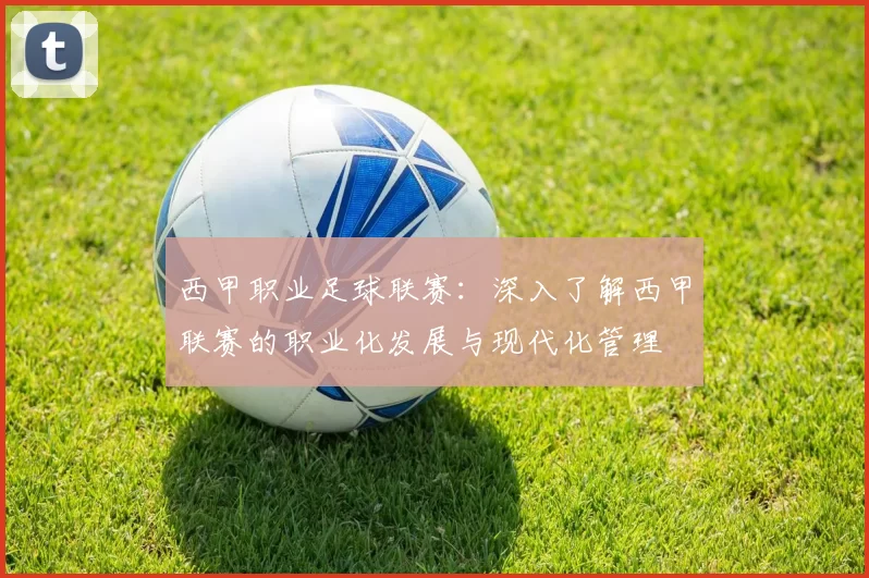 西甲职业足球联赛：深入了解西甲联赛的职业化发展与现代化管理