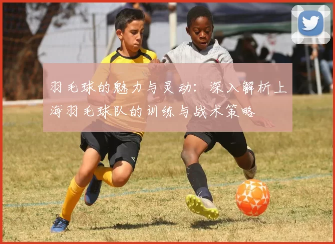 羽毛球的魅力与灵动：深入解析上海羽毛球队的训练与战术策略