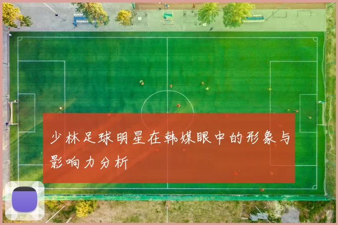少林足球明星在韩媒眼中的形象与影响力分析