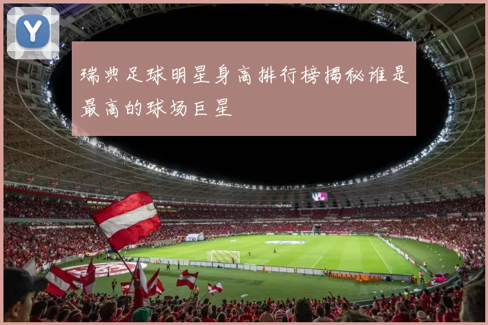 瑞典足球明星身高排行榜揭秘谁是最高的球场巨星