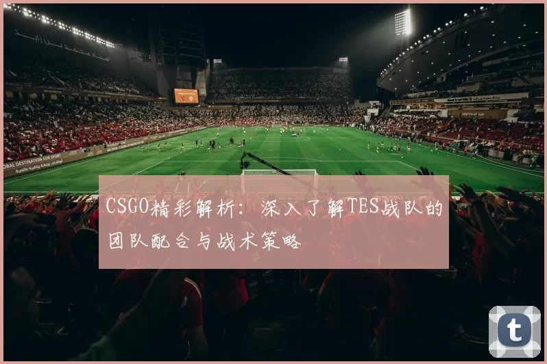CSGO精彩解析：深入了解TES战队的团队配合与战术策略