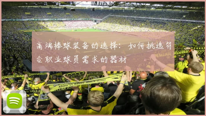 高端棒球装备的选择：如何挑选符合职业球员需求的器材