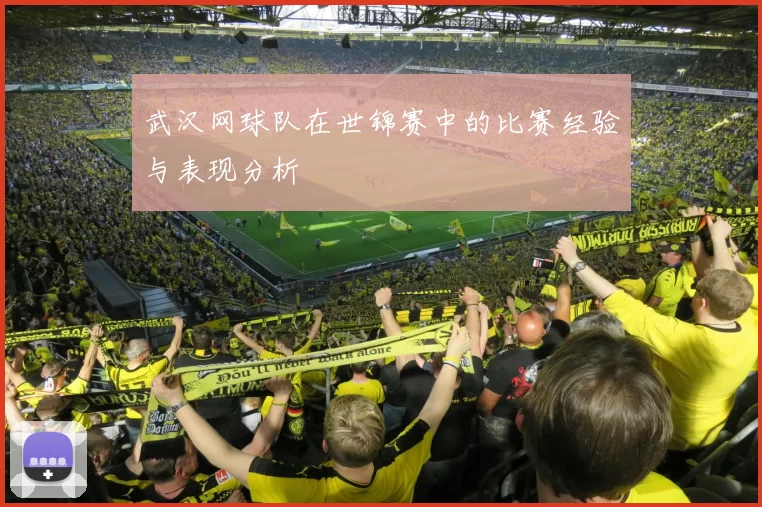 武汉网球队在世锦赛中的比赛经验与表现分析